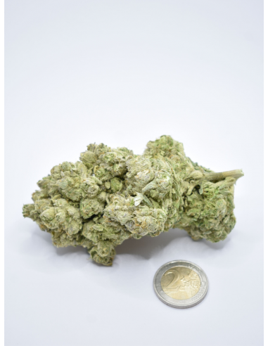 FLEUR DE CBD PURPLE PUNCH EXCLUSIF 2