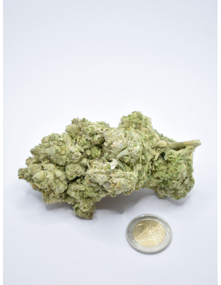 FLEUR DE CBD PURPLE PUNCH EXCLUSIF 2