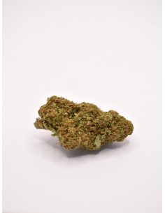 Fleur de CBD - Tropical...