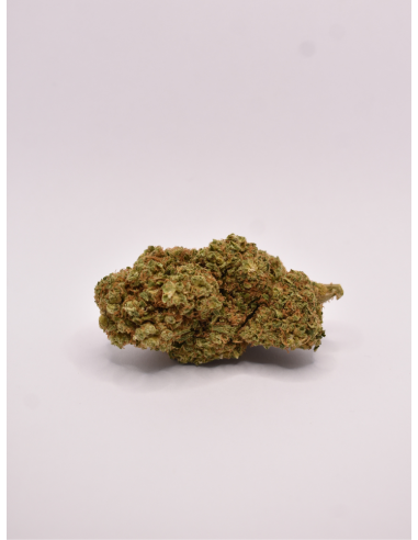FLEUR DE CBD GORILLA US SELECTION