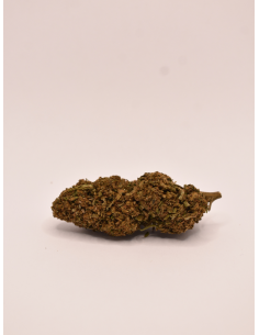 FLEUR DE CBD BUBBLEGUM PREMIUM