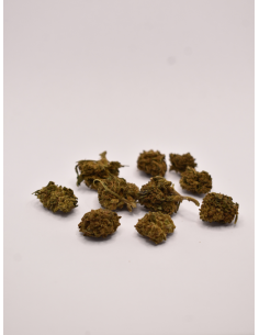 Fleur de CBD - Bubblegum 5%