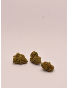 FLEUR DE CBD CARIBBEAN KUSH PREMIUM