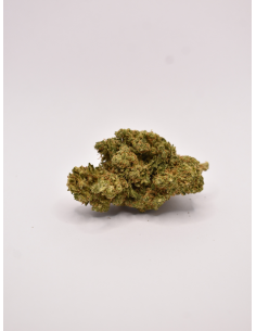 FLEUR DE CBD GELATO COOKIES SELECTION