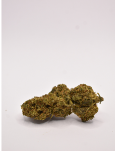 FLEUR DE CBD REVUELTO BANANA SPECIALE