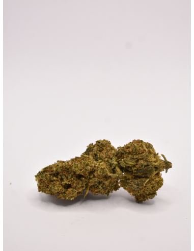 FLEUR DE CBD REVUELTO BANANA SPECIALE