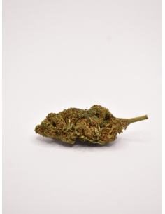 FLEUR DE CBD BLUEBERRY NL-1