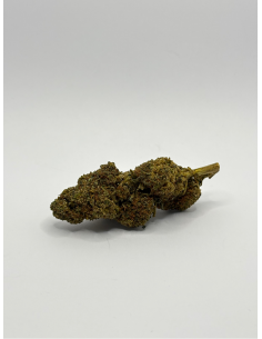 FLEUR DE CBD F1 EXOTIC REVUELTO 2.0 SPECIALE