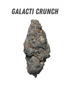 Pack découverte WENEED 2