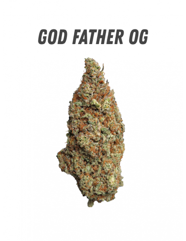 Pack découverte WENEED