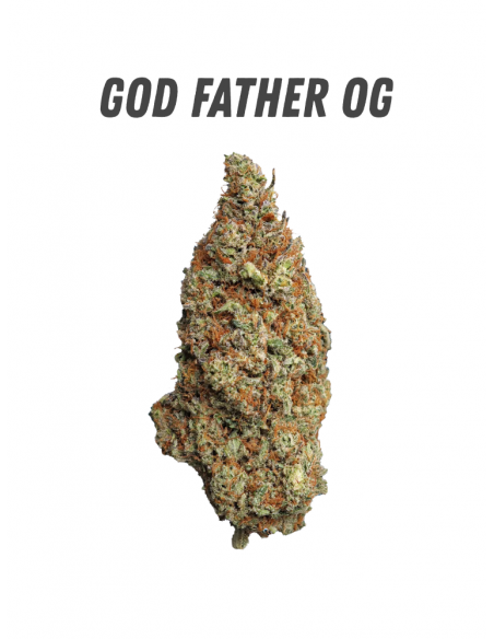 Pack découverte WENEED