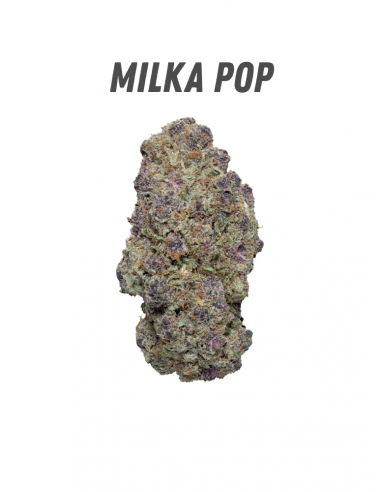 Pack découverte WENEED