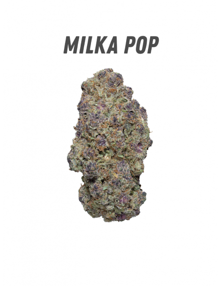 Pack découverte WENEED