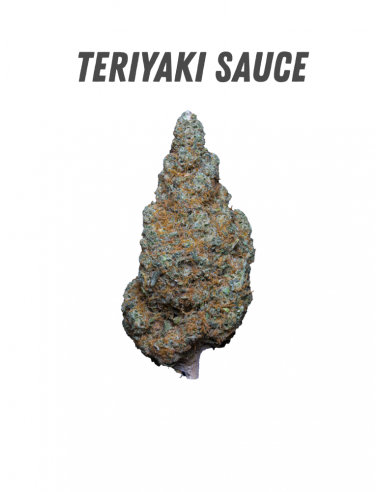 Pack découverte WENEED