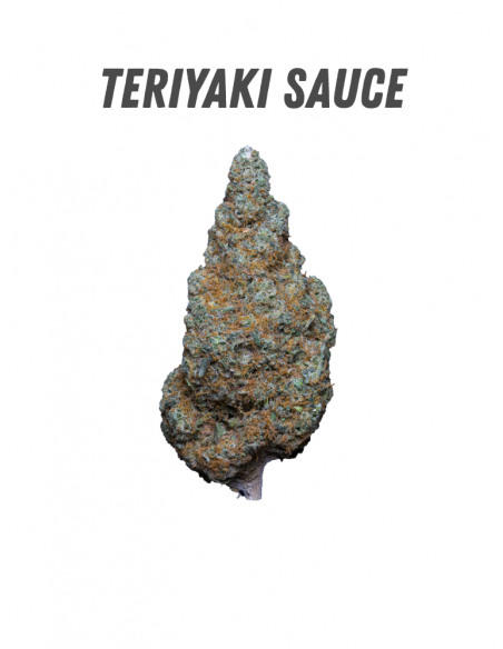 Pack découverte WENEED