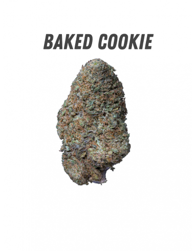 Pack découverte WENEED