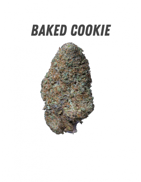 Pack découverte WENEED