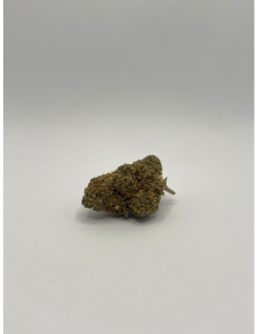 Fleur de CBD - Banana Kush...