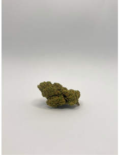 FLEUR DE CBD BUBBLEGUM PREMIUM