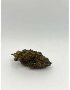 FLEUR PINEAPPLE REVUELTO THV-10