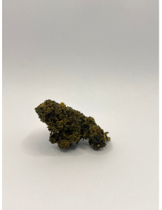 Punchberry Revuelto THV-10