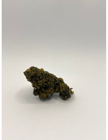 Punchberry Revuelto THV-10