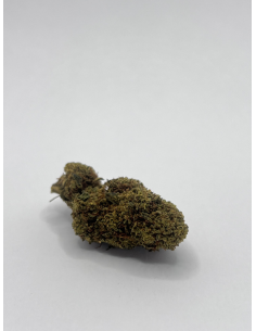 FLEUR BUDDAH KUSH N10 SPECIALE