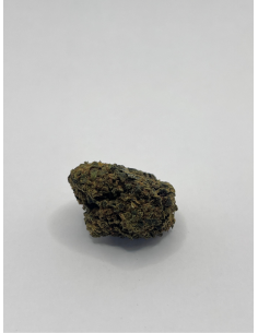 PINEAPPLE N10